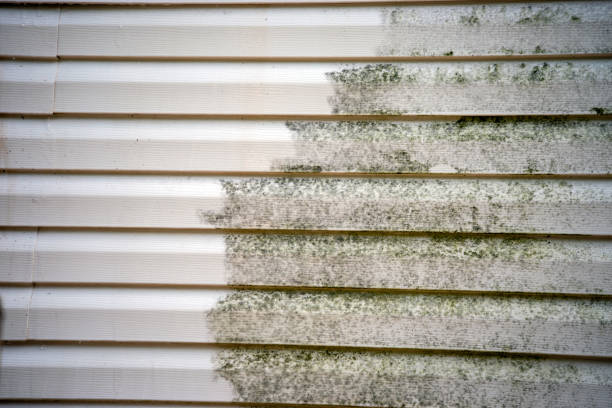 Professional Siding Services in Chubbuck, ID