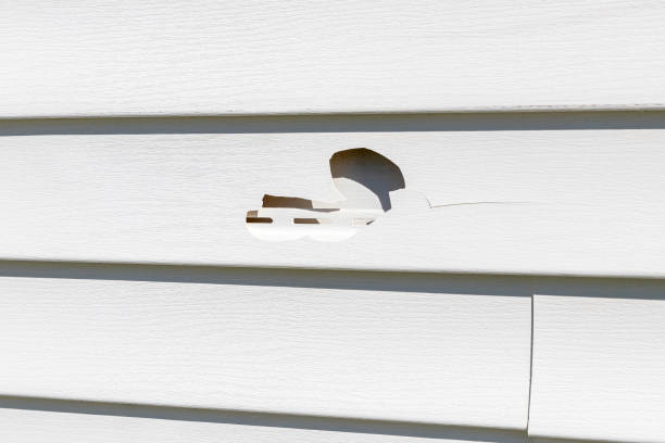 How To Choose The Right Materials for Your Siding Installation in 'Chubbuck, ID