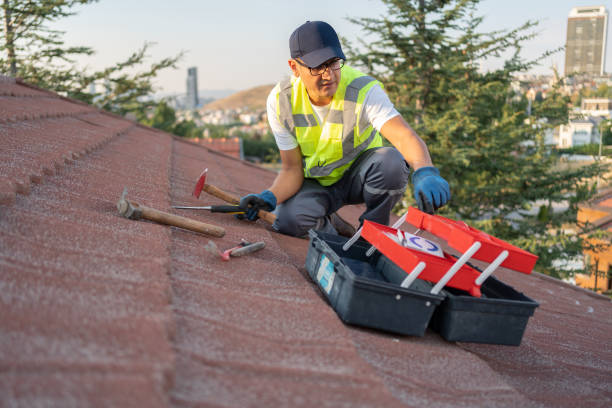 Best Siding Painting and Refinishing  in Chubbuck, ID